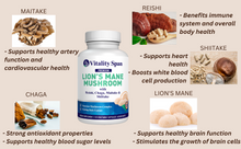 Load image into Gallery viewer, Lions Mane Complex - Nootropic Brain Support & Immunity Boost - Pure Fruiting Body Extracts, 120 Vegetable capsules, Made in USA.
