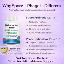 Load image into Gallery viewer, Spore Probiotic Capsules – DE111 + Phage | Gut Health & Microbiome Support