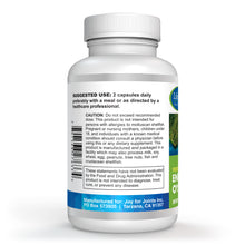 Load image into Gallery viewer, Energize Oyster Extract, Increasing Stamina, Highly Concentrated Zinc Supplement for Men & Women, 500 mg, 60 Vegetarian Capsules, Non-GMO, Made in USA.